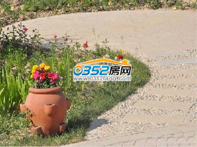 ��߅�h���B�Z����