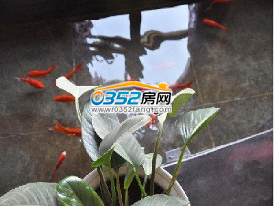 ꖹ����ґ���~��