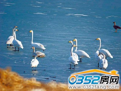 �����ӝ�������������Z