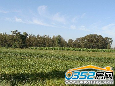 ����ԭ���B���^