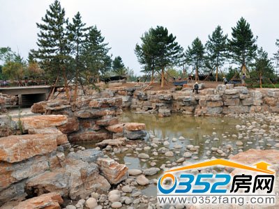 ��孺����B(t��i)���^