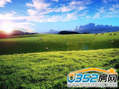 ���Ϸ����O�õ�