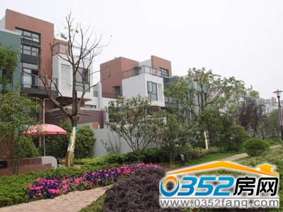 С�^�����Oʩ