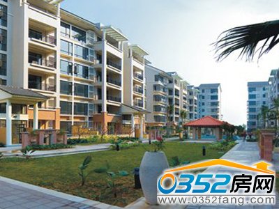 �|���_�R�ǌ�(sh��)���Ĕz