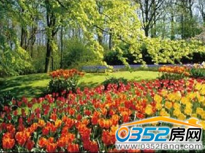 ���_(k��i)�خa(ch��n)�@���L(f��ng)ò