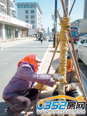 �����ˆT�ڽo��ľ����