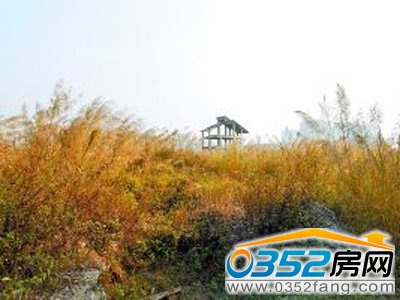 �������������Կ���