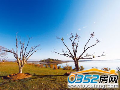 ��������Ϛ�|��