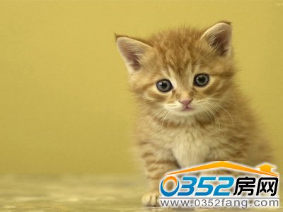 ���󽵵�Ŀ��