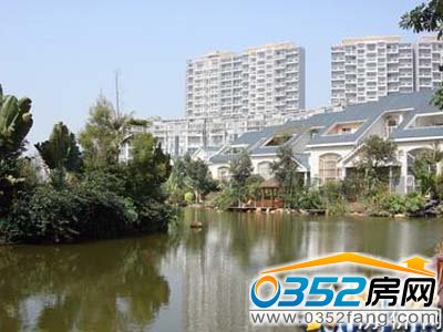 �������ۺ�1̖