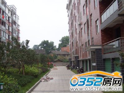 �ĺ��ؽ�������҈@