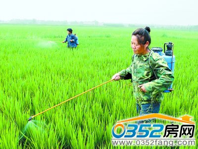 ��ꖴ���ؾ�ɫ