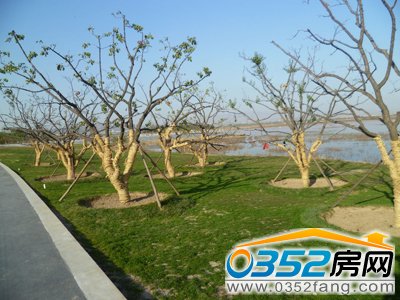 ��ͬ��孺���ɫ