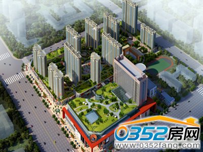 �ϝ���ͥ����Ч���D