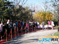 �����ǡ�孺������H���B�Ӱ��w�^ȫ������ʢ��Ļ