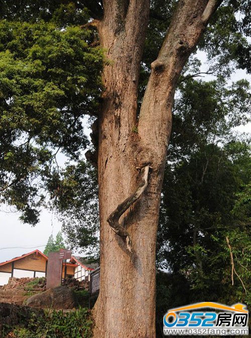 ��լǰ�ĹŘ�(sh��)