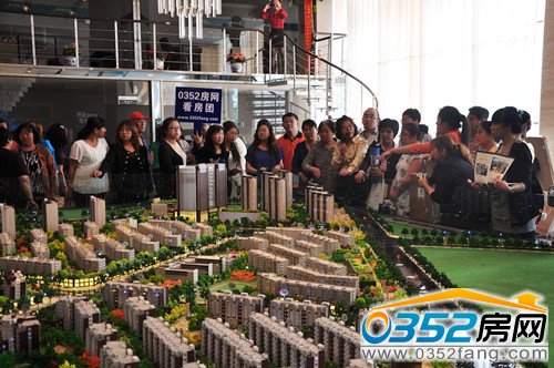 �����ݾ�