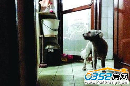 ���˹�������˶��^��ܰ�r��