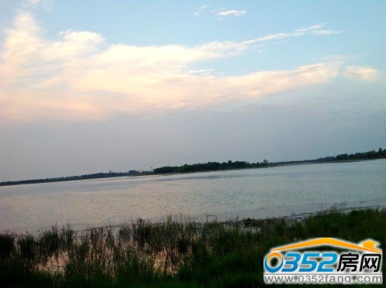 ��ͬ��孺��DƬ