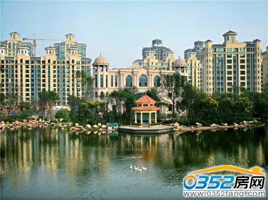 ���G��Ʒ�ƌ���