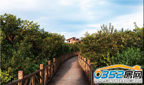 �ׂ��t����߅�Hˮľ�� �H��33�ת���ľ�Ƅe��