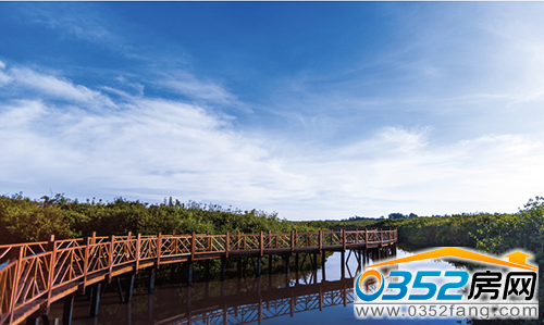 피��ȼ����� ȫ��Ӣ���ڴ˅R��