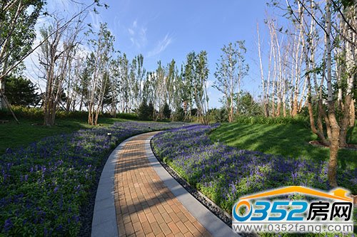 �����ǌ����D