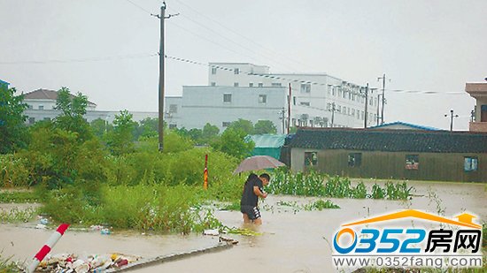 �㽭��Ҧ���_�LӰ����͇���