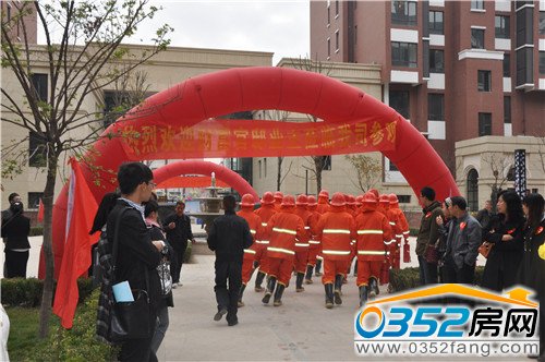 �����ˆT��I�����݌��������ݾ�