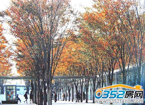 中央景觀大湖 詮釋豪宅品質(zhì)生活