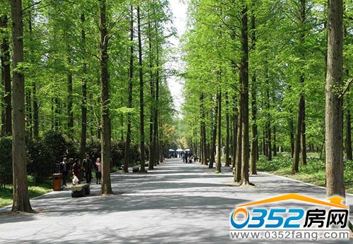 ���G�ޚWꑻʼ҈@��ȫ������ ����ƽ�Ǻ�լ�䷶