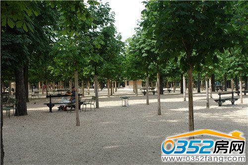 200�Oɭ�֏V�� �G�a�µ����e���g