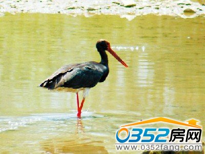 �����ӝ�����ݺ��X