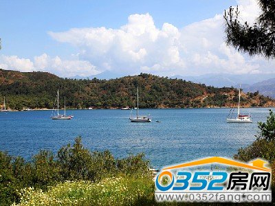 С�(zh��n)�箋�L(f��ng)��