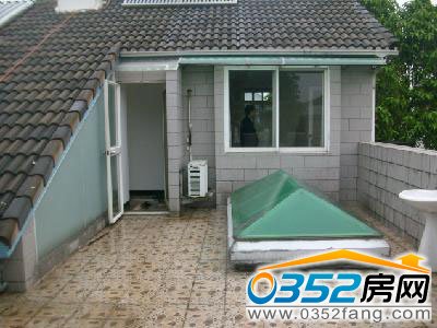 �\�C�㽭С�̈́e��