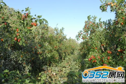 ���@�^�M�������޸�