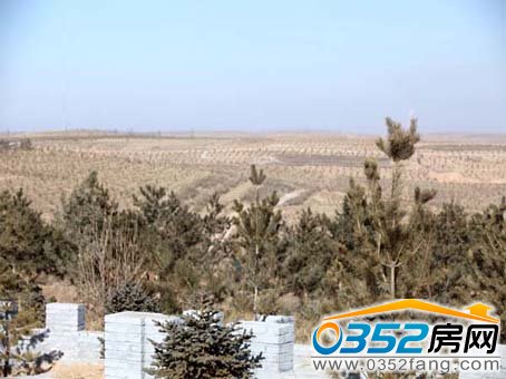 ��ͬ�s�^���B���O