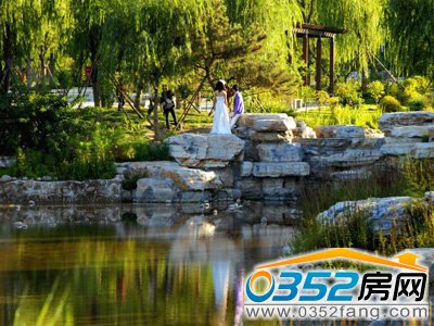 ��ͬ�ǼҌ�ɭ�ֹ��@