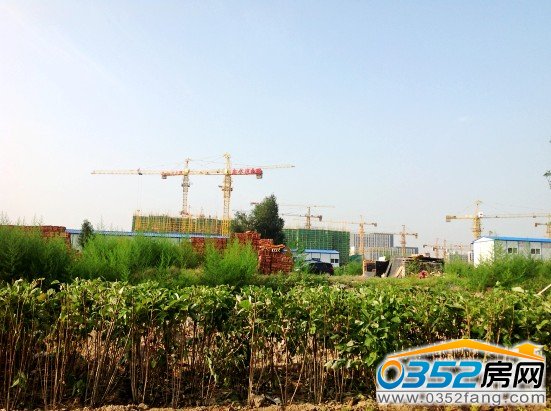 �d�ƽ��ڽ����ؾG��