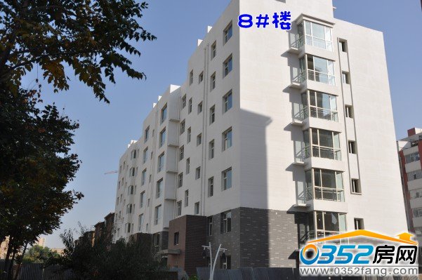 ���������8̖�ǹ����M��