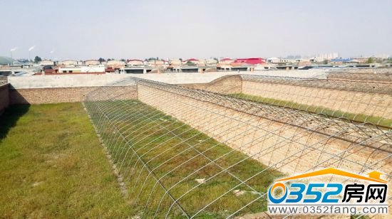 ����ʏ���߲˴����s�݅���