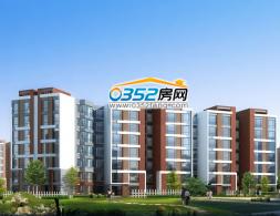 �����ݾ�