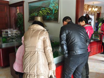 �͑��^�p�Ї���ͬՓ������