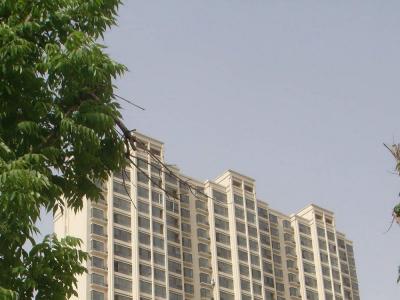 �P�������Ŀ�����D