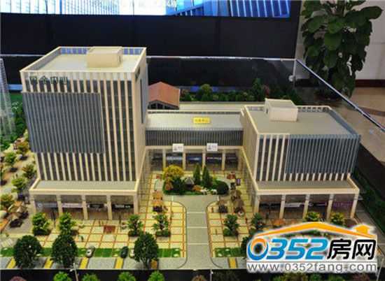 ���������Ŀɳ�P�����D