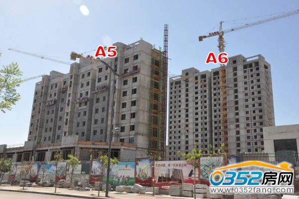 ��\��A5��A6̖(h��o)�ǌ�(sh��)���D��6��10�գ�