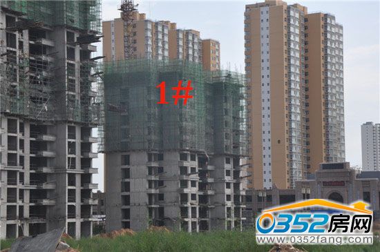 �f���A������1̖��