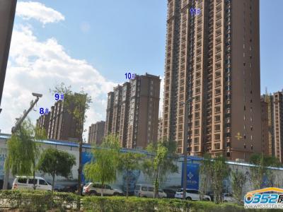 �Hˮ�����@8-11̖�ǌ����D��2014.8.14��