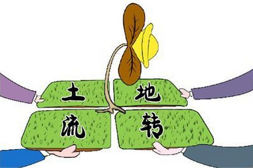 �������D