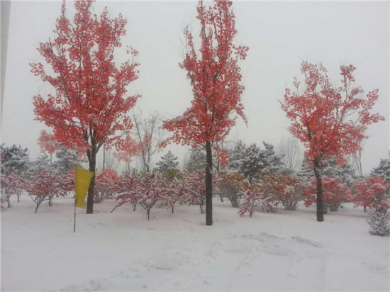 ��ˮ�������Ӟ��ۘǲ�2015��ѩ�������